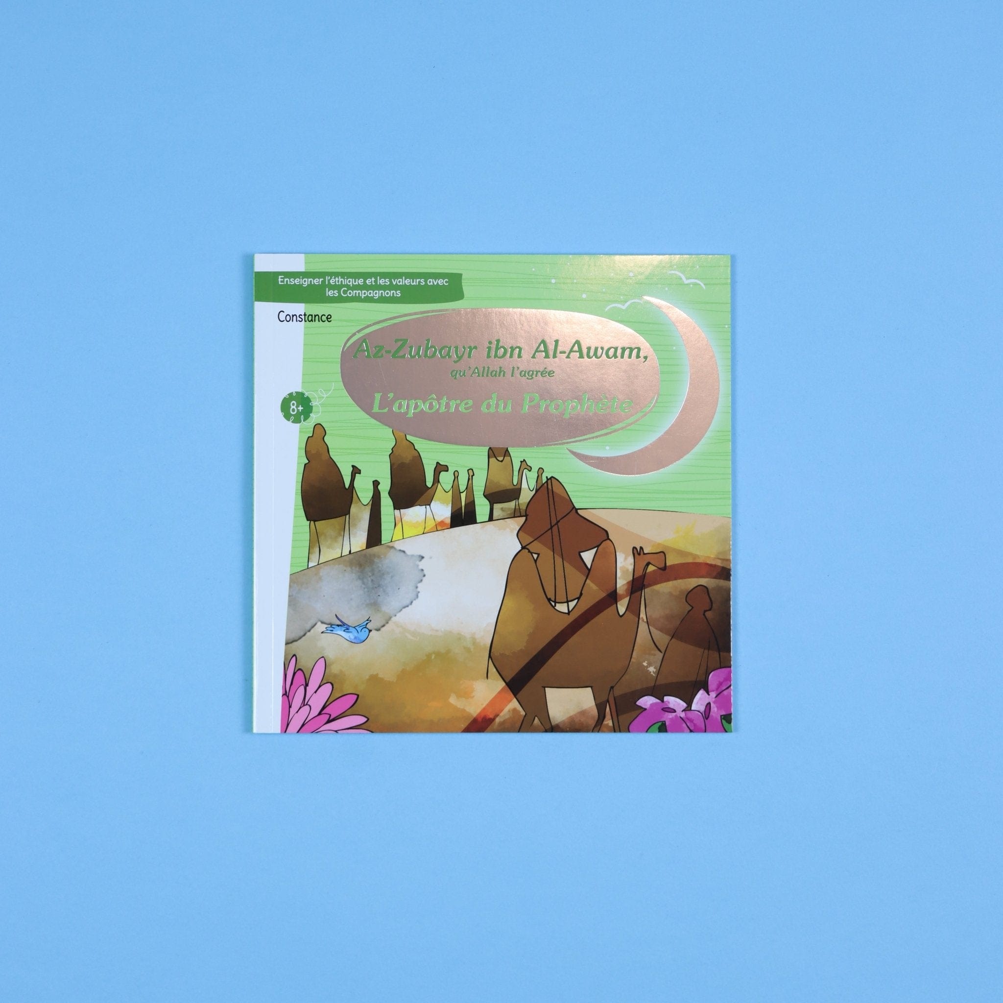 Apprendre le bon comportement avec les compagnons Digital Future Livre Islam Enfant 9782931043479 Librairie Musulmane Al-imen