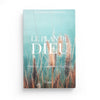 Le plan de Dieu de Myriam Lakhdar Bounamcha (Tome 1) disponible chez Al - imen