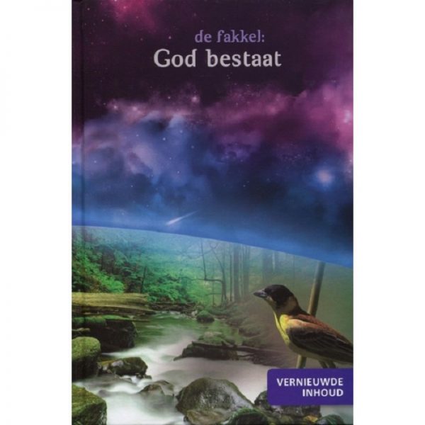 de-fakkel-1-god-bestaat